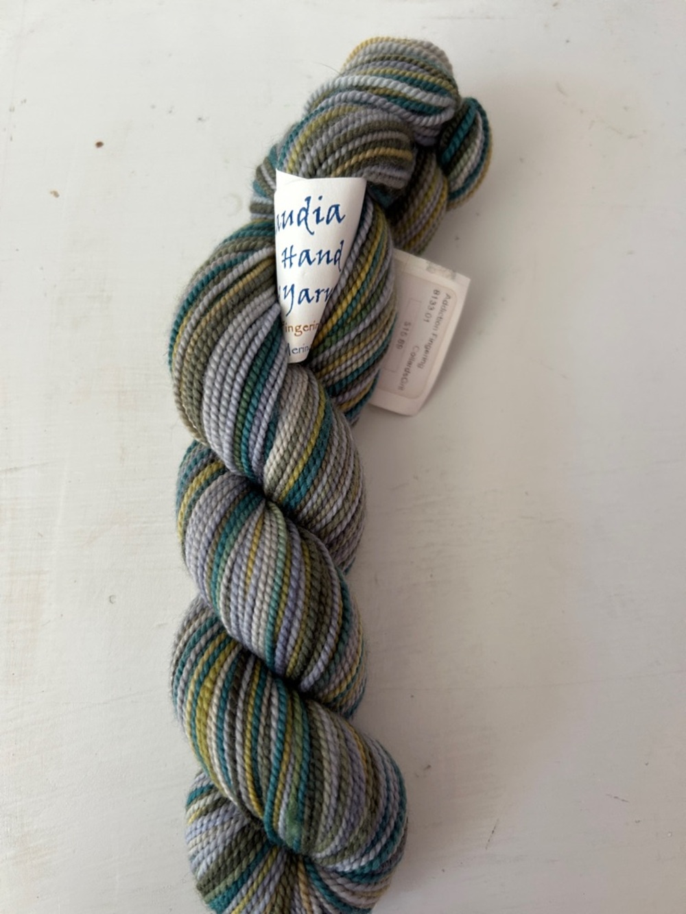 Claudia Hand-Painted Skein Yarn in Gray, Teal, Olive, Fingering Weight, Lot of 1